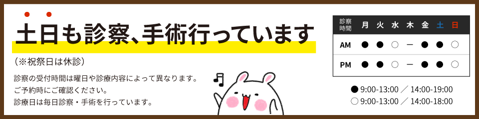 土日も診察、手術行っています