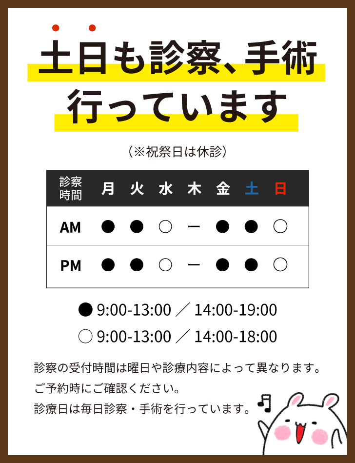 土日も診察、手術行っています