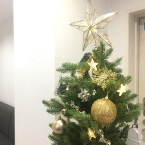 クリスマスツリーを飾り